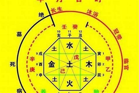 喜木火|八字喜用神为木火：五行旺衰与生活决策指南